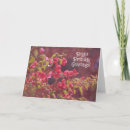 Search for sunshine birthday cards Garden