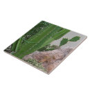 Search for southwest tiles Desert