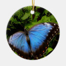 Search for exotic christmas tree decorations Butterfly