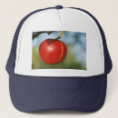 Search for red apple hats Tree