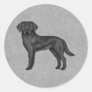 Search for labrador retriever dog stickers Cute