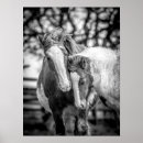 Search for digital horse posters Ponies