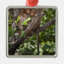 Search for camera christmas tree decorations Vertical