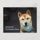 Search for korean postcards Kpop