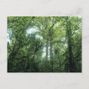 Search for monteverde postcards Central america