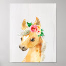 Search for foal Horse