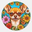 Search for dog chihuahua stickers Animal