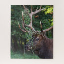 Search for rifle puzzles Hunter