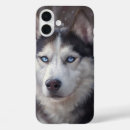 Search for siberian husky iphone cases Winter