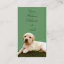 Search for pup business cards Pets