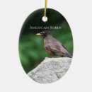 Search for robin christmas tree decorations Photography