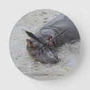 Search for hippos photography Africa