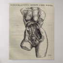 Search for skeleton anatomy posters Human body