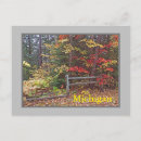 Search for colored leaf postcards Photography
