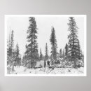Search for arctic circle posters Landscape