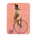 Search for greyhound magnets Contemporary