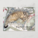 Search for catnap postcards Funny