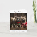 Search for cairn terrier christmas cards Puppies