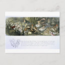 Search for doyle postcards Book