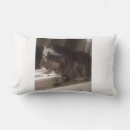 Search for talking cushions Cats