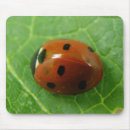 Search for ladybug mousepads Photography