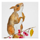 Search for funny squirrel posters Forest