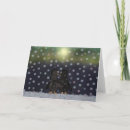 Search for penguin love cards North pole