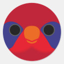 Search for lori stickers Parrot