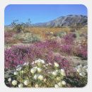 Search for california state parks stickers Landscape