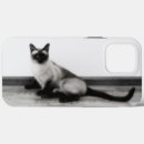 Search for siamese iphone cases Cute