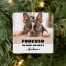 Search for pet memorials Rememberance