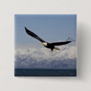 Search for alaska eagle badges Wildlife