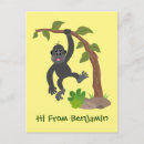 Search for funny gorilla postcards Primate