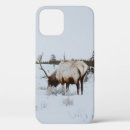 Search for winter background iphone cases Wildlife