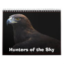 Search for eagle hunter Hawk
