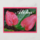 Search for 50th anniversary invitation postcards Flowers