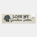 Search for setter bumper stickers Pets