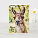 Search for llama birthday cards Pun