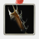 Search for shell christmas tree decorations Studio shot