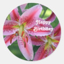 Search for pink lilies stickers Pretty