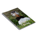 Search for puffin notebooks Sea