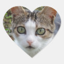 Search for white cat stickers Heart