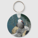 Search for seagull key rings Ocean