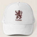 Search for harry potter hats Gryffindor