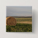 Search for sunrises badges Horizontal