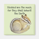 Search for chipmunks magnets Wildlife