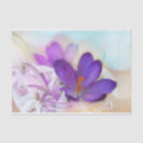 Search for pretty tissue paper Purple