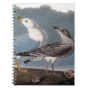 Search for bill notebooks Beak
