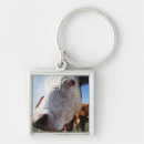 Search for brown cow key rings Animal body part
