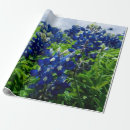 Search for texan wrapping paper Bluebonnet